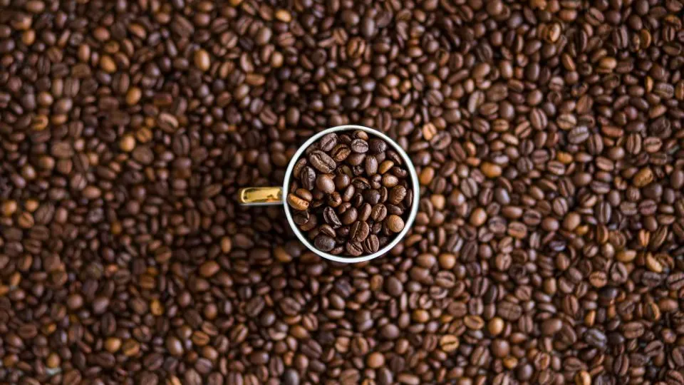 Coffee beans filling a white cup